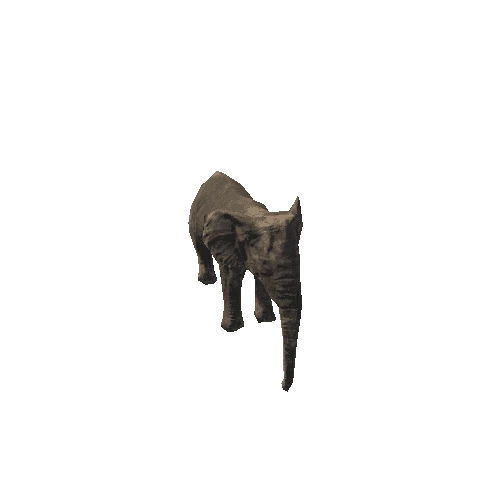 elephant_female_fv_rm_SLP (mat5)